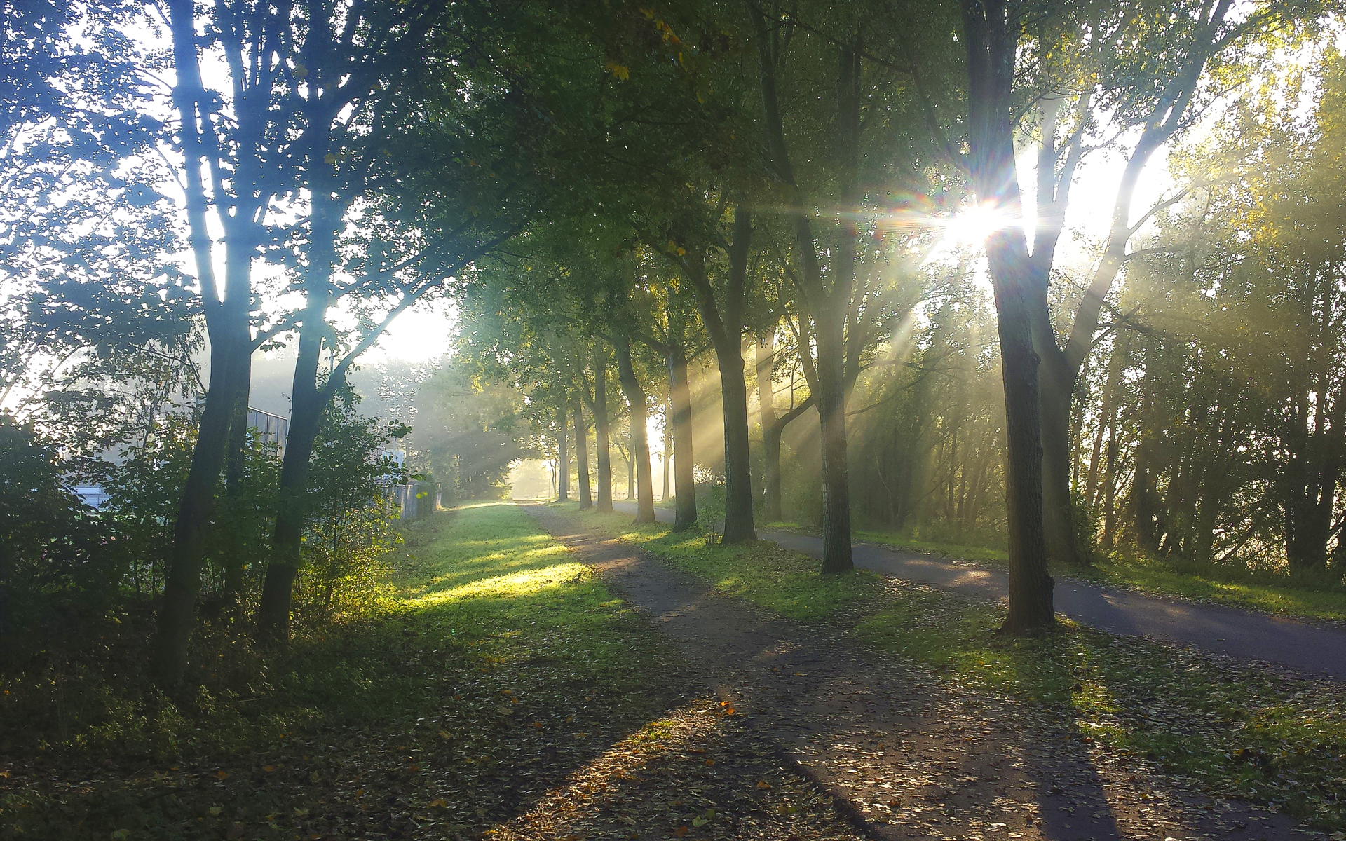 Toegangsweg naar Hondenspeeltuin de Broekpolder, Vlaardingen